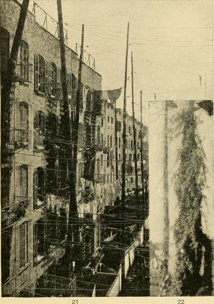 An illustration from Suggestions for beautifying home, village and roadway, 1900, leaf 12
