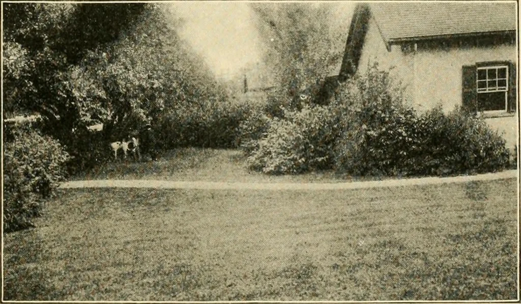 An illustration from Suggestions for beautifying home, village and roadway, 1900, leaf 6