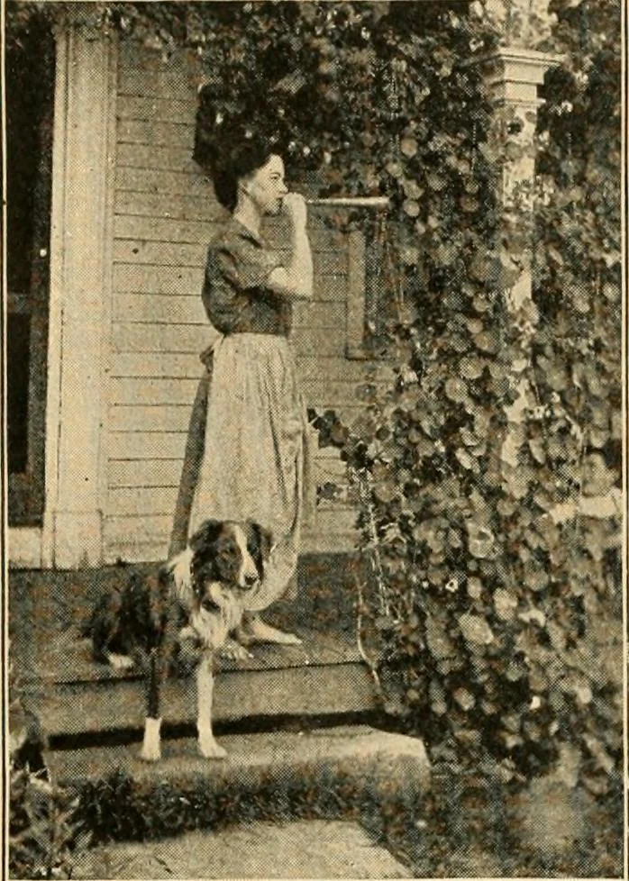 An illustration from Suggestions for beautifying home, village and roadway, 1900, leaf 7