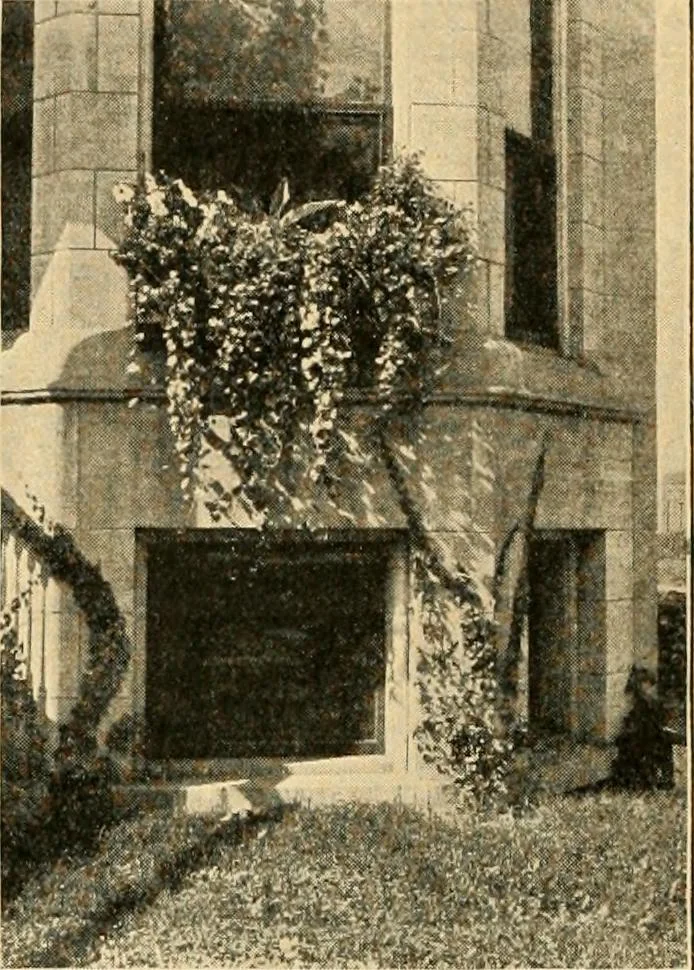 An illustration from Suggestions for beautifying home, village and roadway, 1900, leaf 7