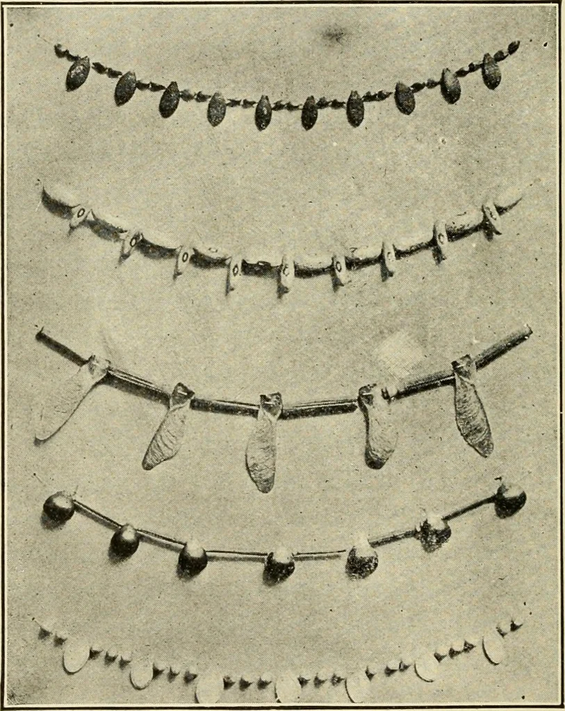 An illustration from Suggestions for handwork in school and home, 1911, leaf 131