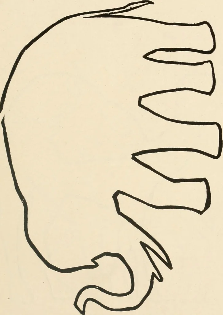 An illustration from Suggestions for handwork in school and home, 1911, leaf 156