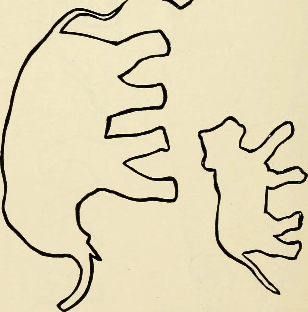 An illustration from Suggestions for handwork in school and home, 1911, leaf 161