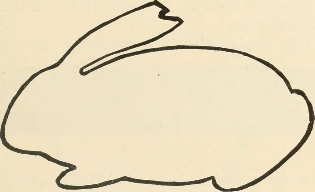 An illustration from Suggestions for handwork in school and home, 1911, leaf 18