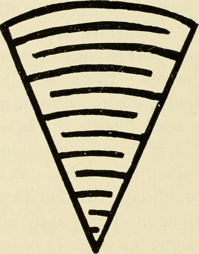 An illustration from Suggestions for handwork in school and home, 1911, leaf 201