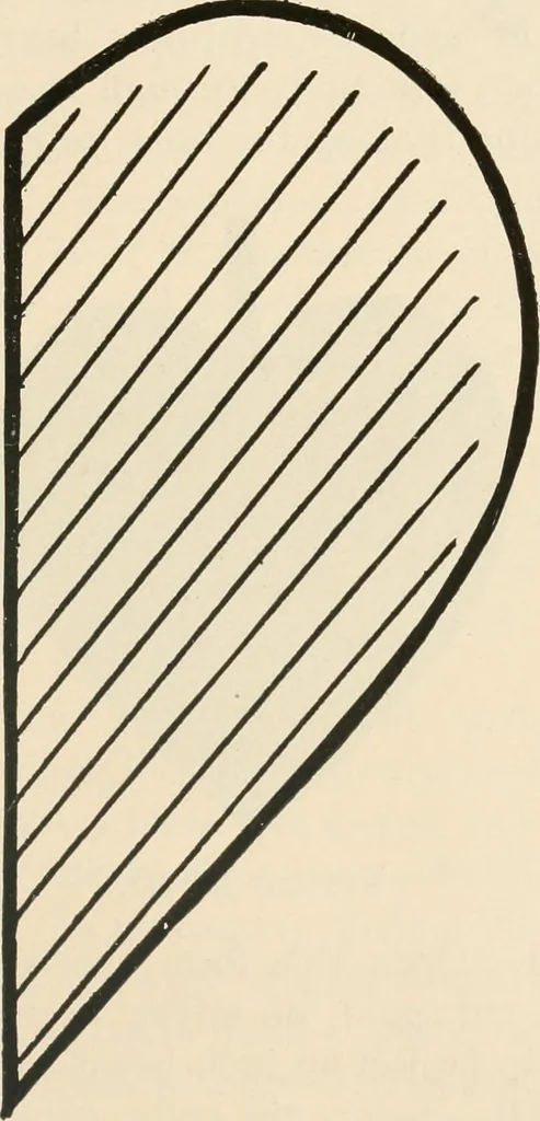 An illustration from Suggestions for handwork in school and home, 1911, leaf 202