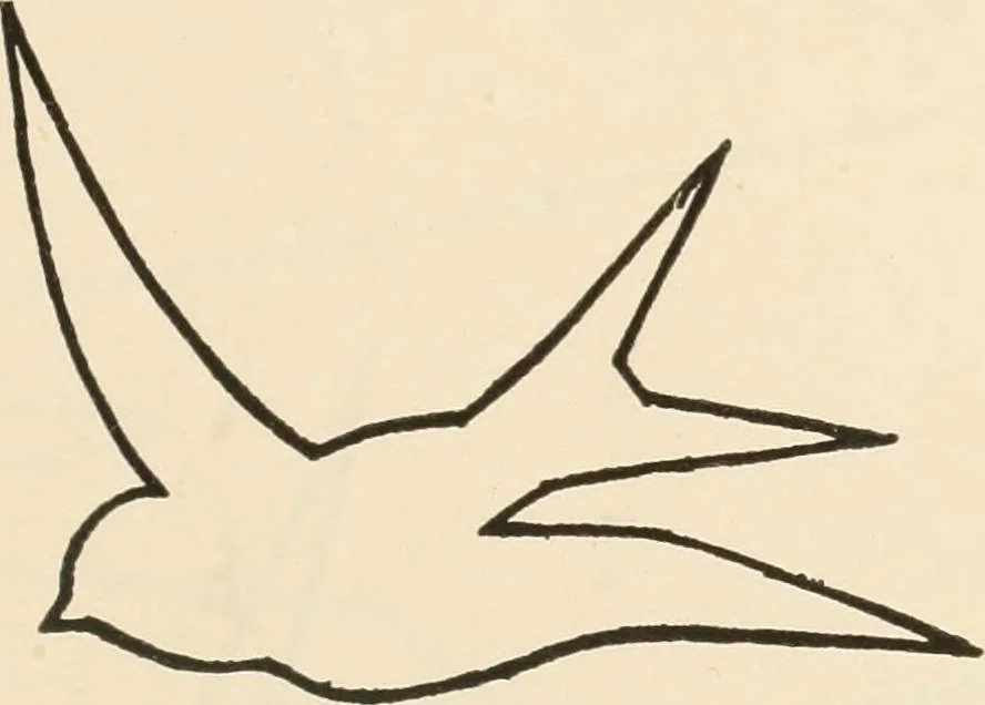 An illustration from Suggestions for handwork in school and home, 1911, leaf 22