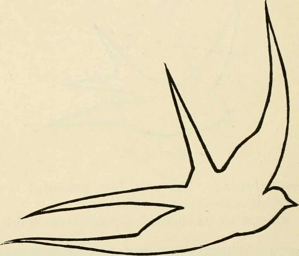 An illustration from Suggestions for handwork in school and home, 1911, leaf 23