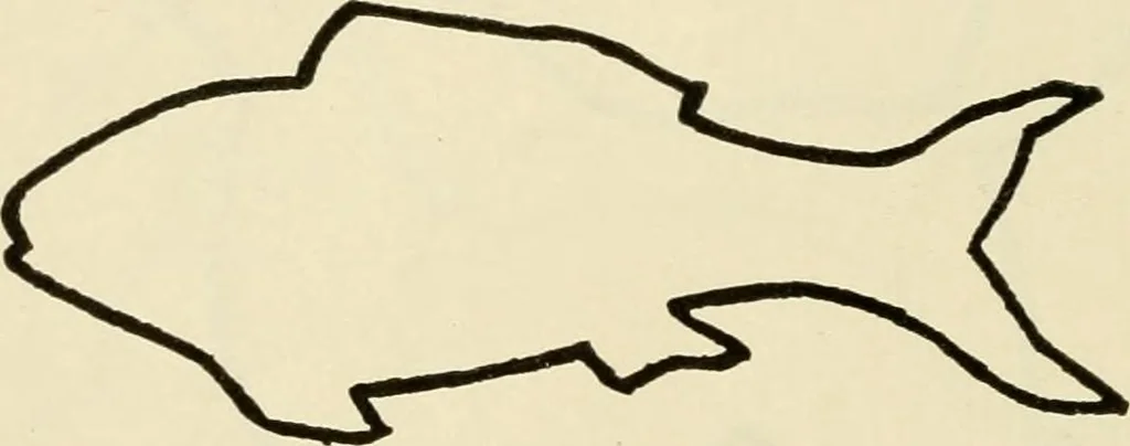An illustration from Suggestions for handwork in school and home, 1911, leaf 33