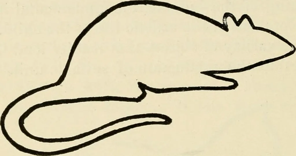 An illustration from Suggestions for handwork in school and home, 1911, leaf 35