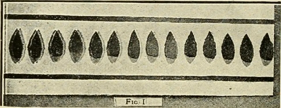 An illustration from Suggestions for handwork in school and home, 1911, leaf 39
