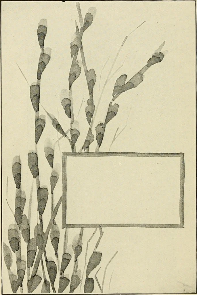 An illustration from Suggestions for handwork in school and home, 1911, leaf 47