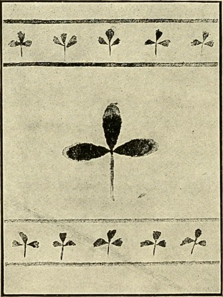 An illustration from Suggestions for handwork in school and home, 1911, leaf 49