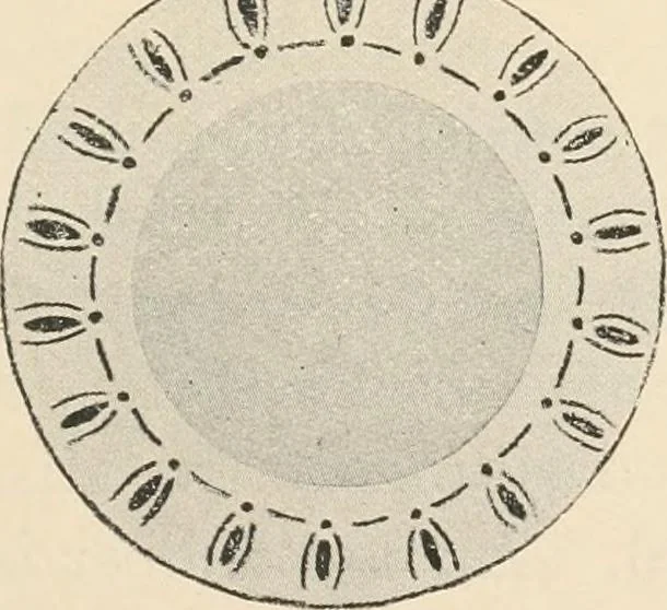 An illustration from Suggestions for handwork in school and home, 1911, leaf 64