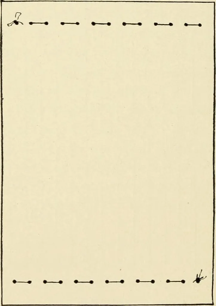An illustration from Suggestions for handwork in school and home, 1911, leaf 81