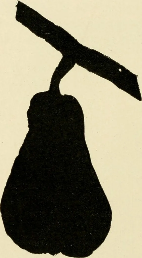 An illustration from Suggestions for handwork in school and home, 1911, leaf 89