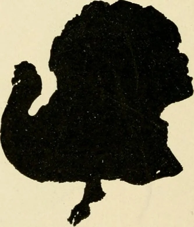 An illustration from Suggestions for handwork in school and home, 1911, leaf 91