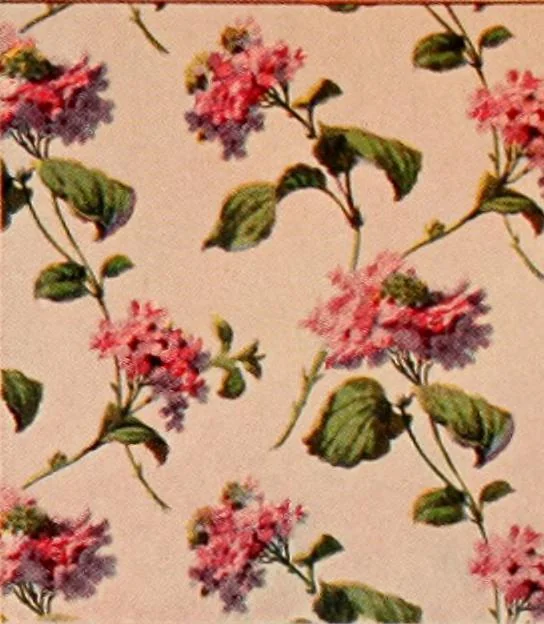 An illustration from Suggestions for modern interior decoration / Henry Bosch Company., 1906, leaf 9
