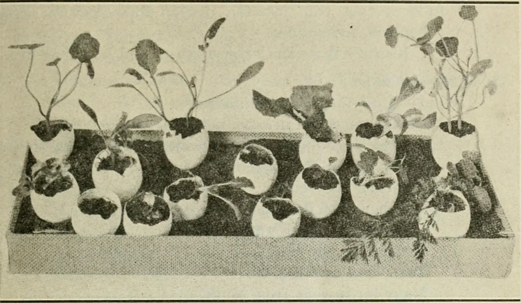 An illustration from A suggestive state course of study for kindergarten-primary grades, submitted at the request of the county and city superintendents of schools, 1922, leaf 50