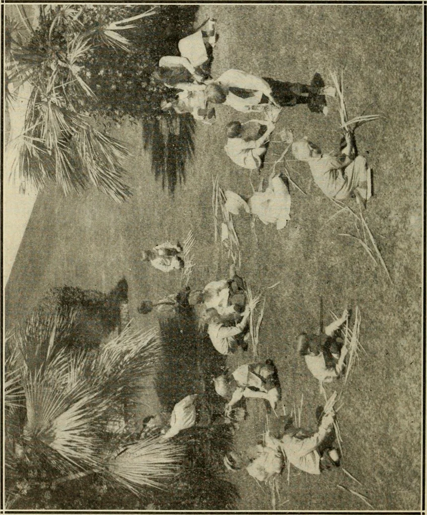 An illustration from A suggestive state course of study for kindergarten-primary grades, submitted at the request of the county and city superintendents of schools, 1922, leaf 79