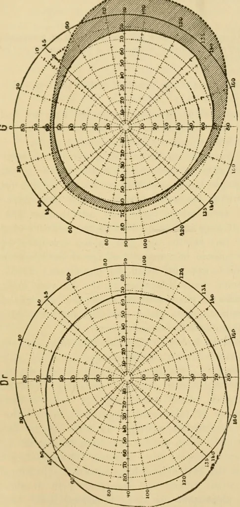 An illustration from Suggestive therapeutics : a treatise on the nature and uses of hypnotism, 1889, leaf 290