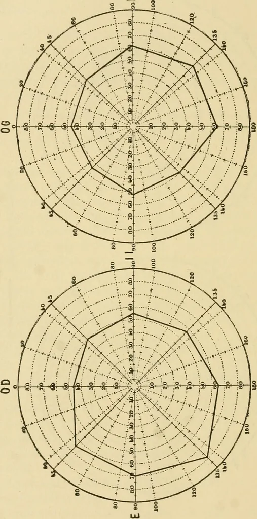 An illustration from Suggestive therapeutics : a treatise on the nature and uses of hypnotism, 1889, leaf 297