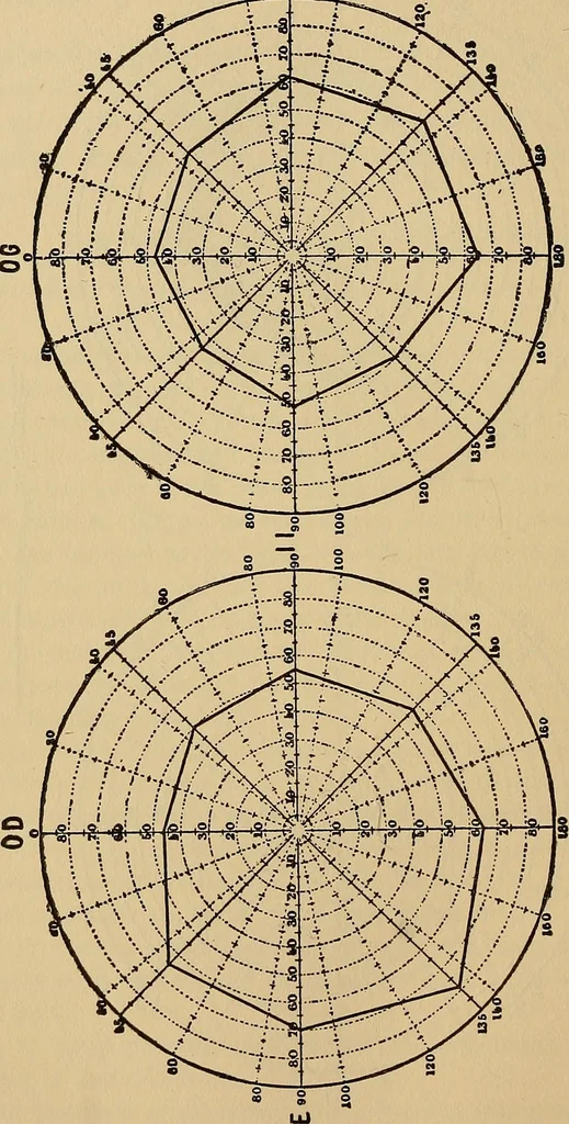 An illustration from Suggestive therapeutics : a treatise on the nature and uses of hypnotism, 1880, leaf 299