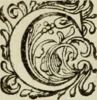 An illustration from Sugillatio ingratitudinis, 1656, leaf 31
