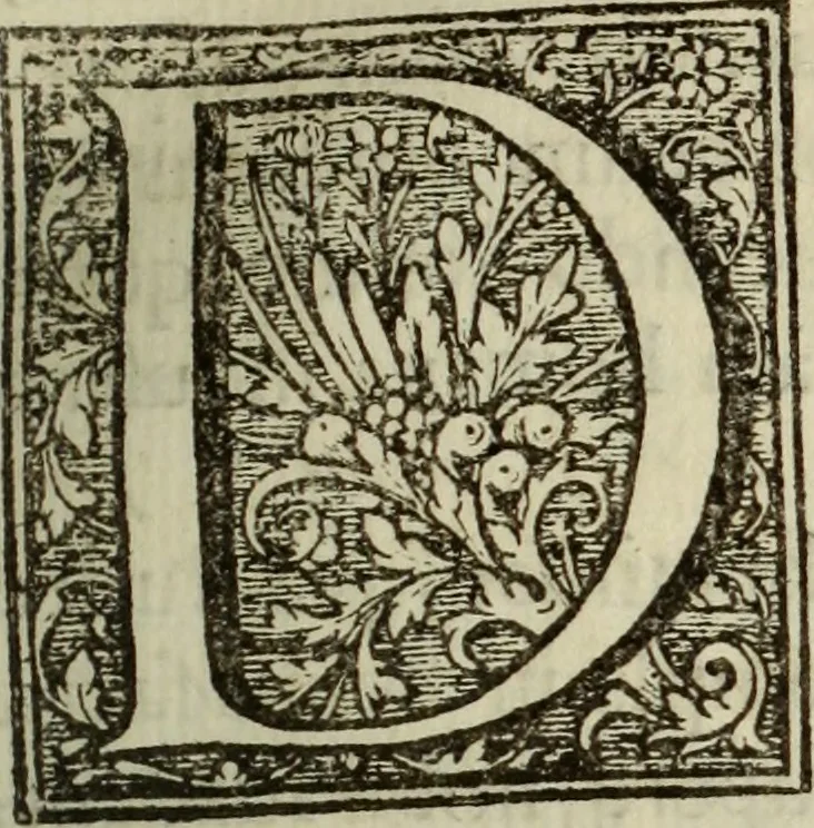 An illustration from Sugillatio ingratitudinis, 1656, leaf 36
