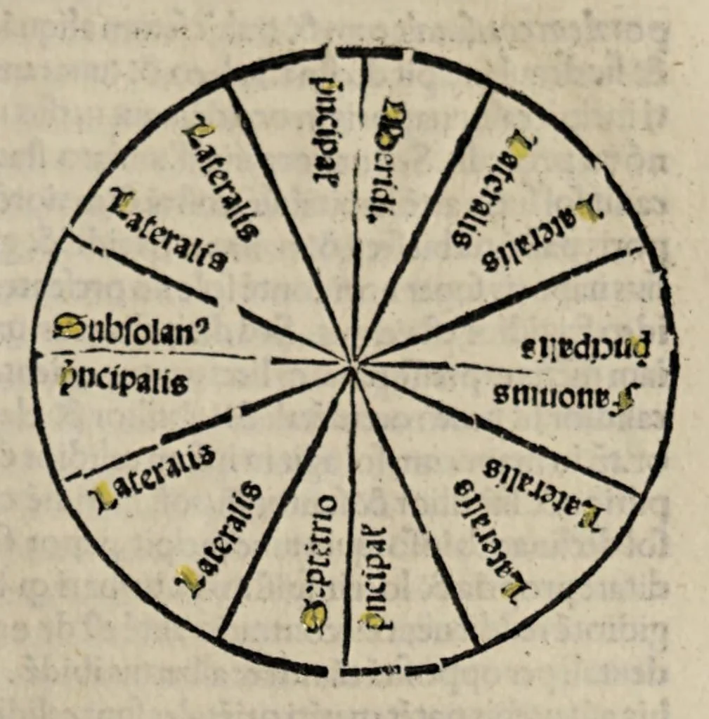 An illustration from Summa astrologiae judicialis, leaf 253