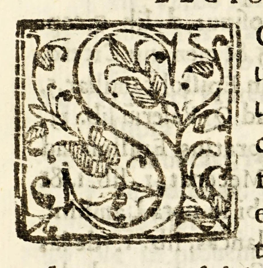 An illustration from Summaria investigacion de el origin, y privilegios, de los ricos hombres o nobles, caballeros, infanzones o hijos dalgo, y señores de vassallos de Aragon, y del absoluto poder queen ellos tienen. : Parte primera, 1664, leaf 650