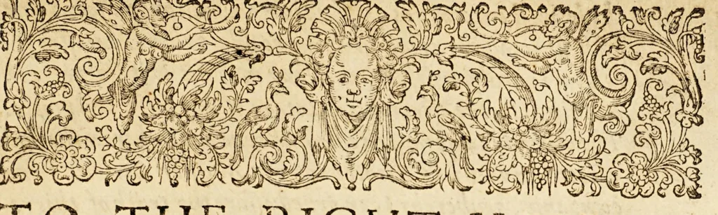 An illustration from A summarie and true discourse of Sir Francis Drakes VVest Indian voyage. : VVherein were taken, the townes of Saint Iago, Sancto Domingo, Cartagena and Saint Augustine. : With geographicall mappes exactly describing each of the townes with their scituations, and the manner of the armies approaching to the winning of them, 1596, leaf 11