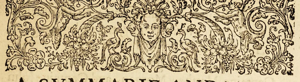 An illustration from A summarie and true discourse of Sir Francis Drakes VVest Indian voyage. : VVherein were taken, the townes of Saint Iago, Sancto Domingo, Cartagena and Saint Augustine. : With geographicall mappes exactly describing each of the townes with their scituations, and the manner of the armies approaching to the winning of them, 1596, leaf 13