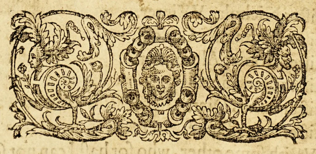 An illustration from A summarie and true discourse of Sir Francis Drakes VVest Indian voyage. : VVherein were taken, the townes of Saint Iago, Sancto Domingo, Cartagena and Saint Augustine. : With geographicall mappes exactly describing each of the townes with their scituations, and the manner of the armies approaching to the winning of them, 1596, leaf 64