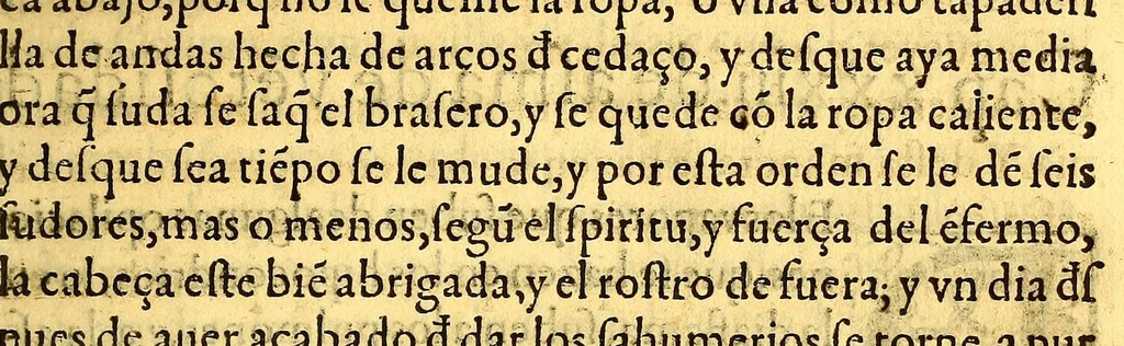 An illustration from Summa y recopilacion de cirugia, con un arte para sangrar, y examen de barberos,, 1595, leaf 103