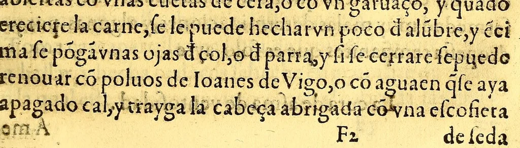 An illustration from Summa y recopilacion de cirugia, con un arte para sangrar, y examen de barberos,, 1595, leaf 103