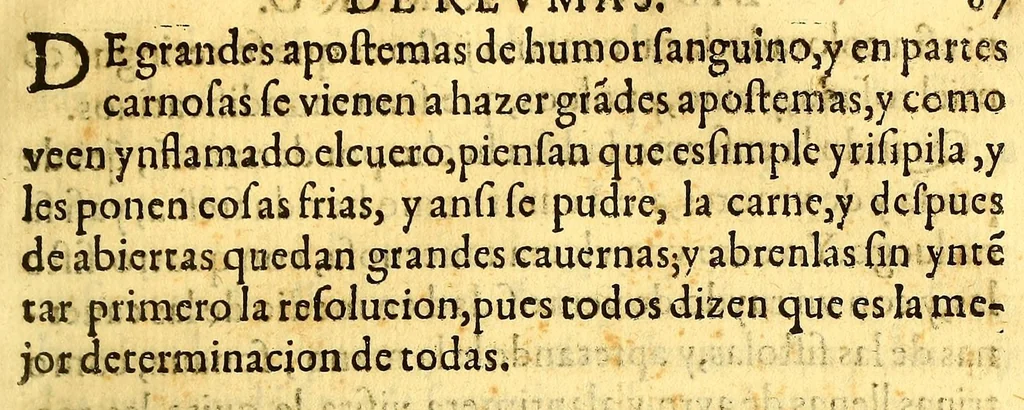 An illustration from Summa y recopilacion de cirugia, con un arte para sangrar, y examen de barberos,, 1595, leaf 153