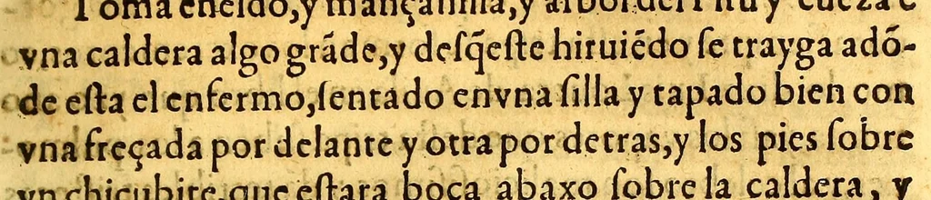 An illustration from Summa y recopilacion de cirugia, con un arte para sangrar, y examen de barberos,, 1595, leaf 165