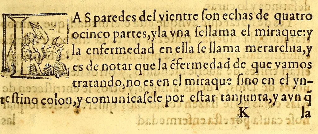 An illustration from Summa y recopilacion de cirugia, con un arte para sangrar, y examen de barberos,, 1595, leaf 165