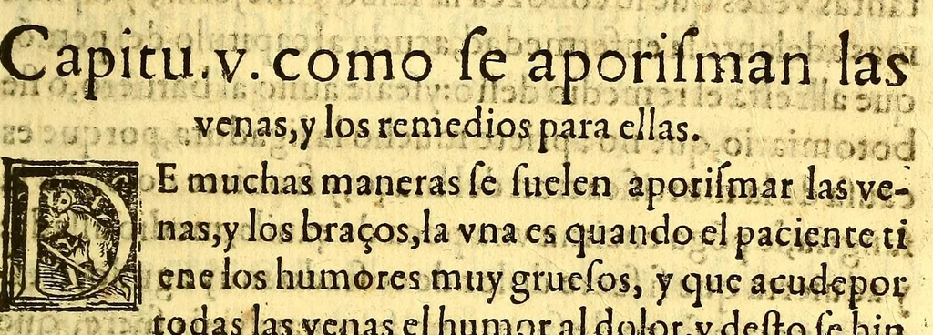 An illustration from Summa y recopilacion de cirugia, con un arte para sangrar, y examen de barberos,, 1595, leaf 199