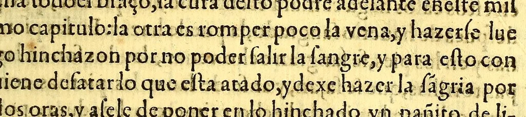 An illustration from Summa y recopilacion de cirugia, con un arte para sangrar, y examen de barberos,, 1595, leaf 199