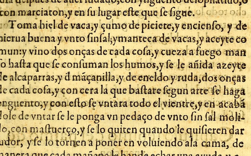 An illustration from Summa y recopilacion de cirugia, con un arte para sangrar, y examen de barberos,, 1595, leaf 261