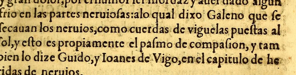 An illustration from Summa y recopilacion de cirugia, con un arte para sangrar, y examen de barberos,, 1595, leaf 293
