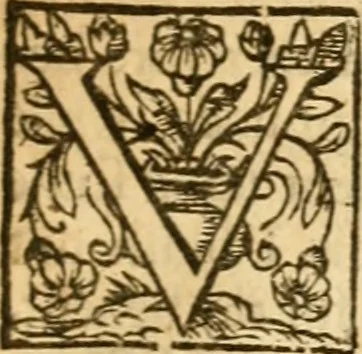 An illustration from The Summe of a conference at Terling in Essex, Januarie 11, 1643 : held between 3 ministers ... opponents pleading for infants baptisme, and 2 catabaptists ... respondents denying .., 1644, leaf 64