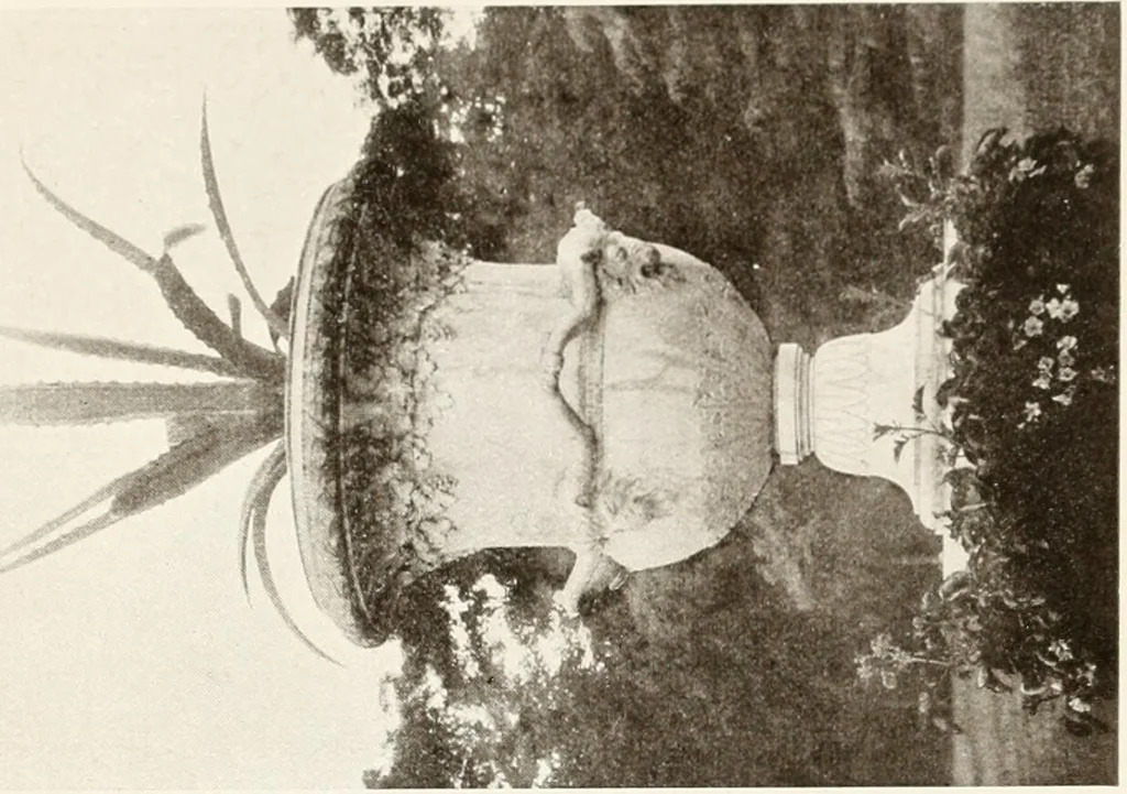 An illustration from A summer in Touraine, 1909, leaf 424