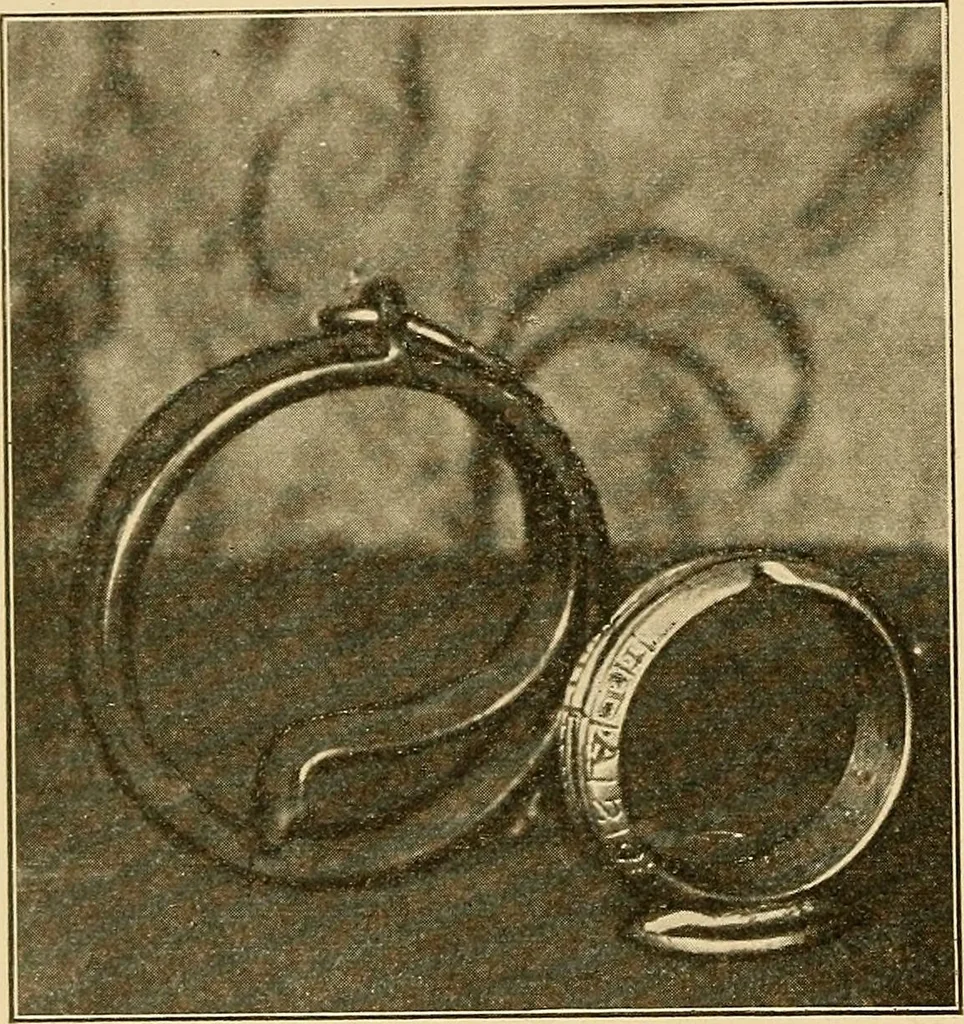 An illustration from Sun dials and roses of yesterday; garden delights which are here displayed in every truth and are moreover regarded as emblems, 1902, leaf 205
