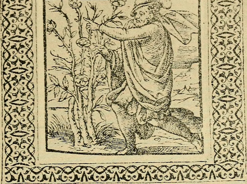 An illustration from Sun dials and roses of yesterday; garden delights which are here displayed in every truth and are moreover regarded as emblems, 1902, leaf 232