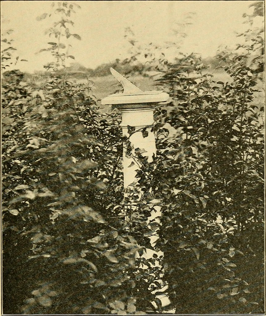 An illustration from Sun dials and roses of yesterday; garden delights which are here displayed in every truth and are moreover regarded as emblems, 1902, leaf 326