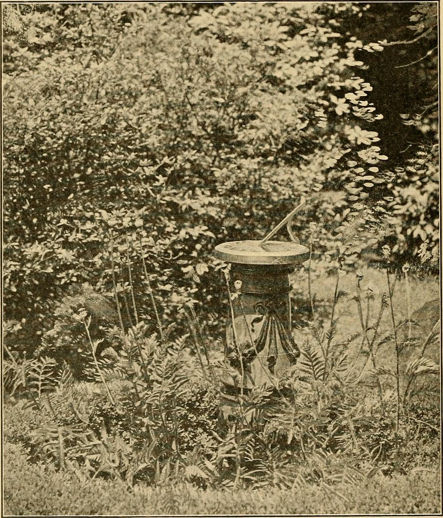 An illustration from Sun dials and roses of yesterday; garden delights which are here displayed in every truth and are moreover regarded as emblems, 1902, leaf 329