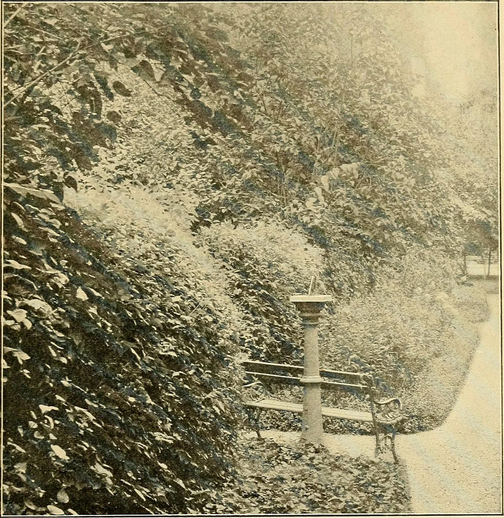 An illustration from Sun dials and roses of yesterday; garden delights which are here displayed in every truth and are moreover regarded as emblems, 1902, leaf 334